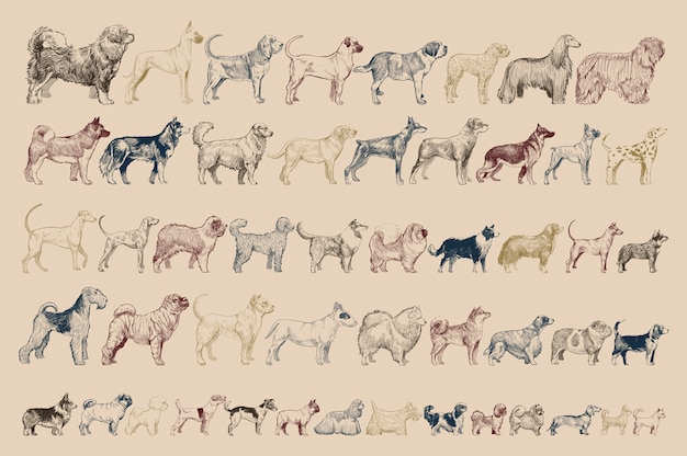 Ilustración de dibujo estilo de perro.