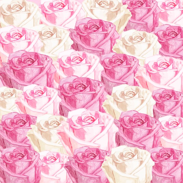 Ilustración de dibujo flor rosa blanca