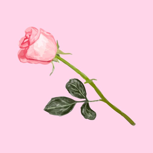 Ilustración de dibujo flor rosa