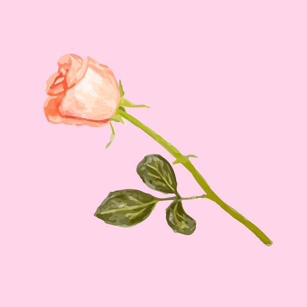 Vector gratuito ilustración de dibujo flor rosa