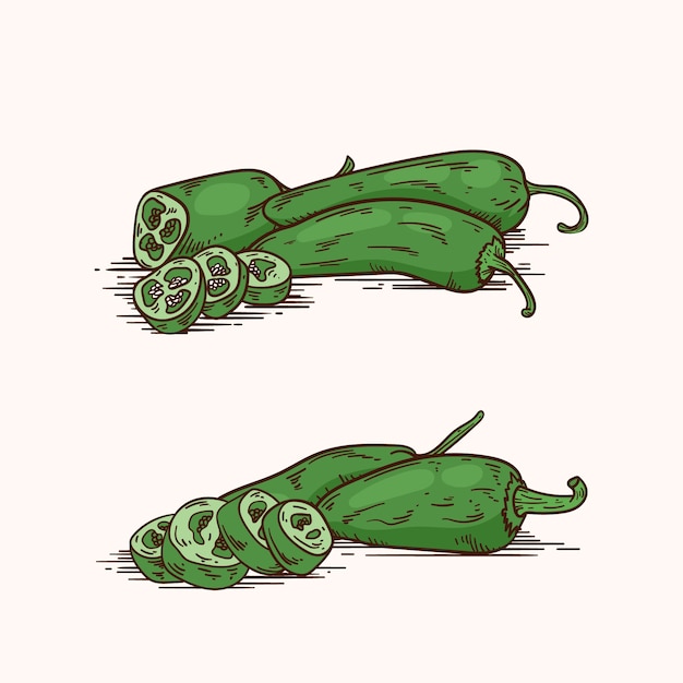 Ilustración de dibujo jalapeno dibujado a mano