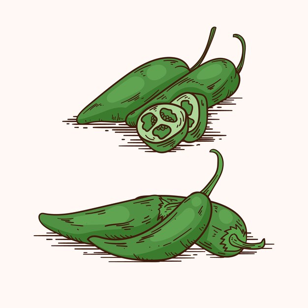Ilustración de dibujo jalapeno dibujado a mano