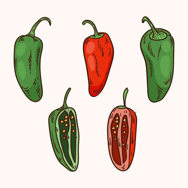 Ilustración de dibujo jalapeno dibujado a mano
