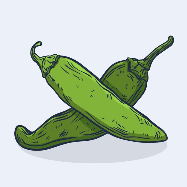 Ilustración de dibujo de jalapeño dibujado a mano