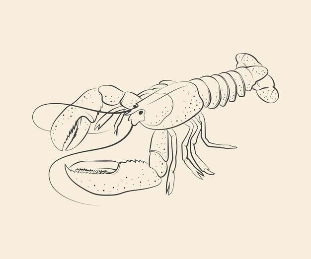 Ilustración de dibujo de langosta dibujada a mano