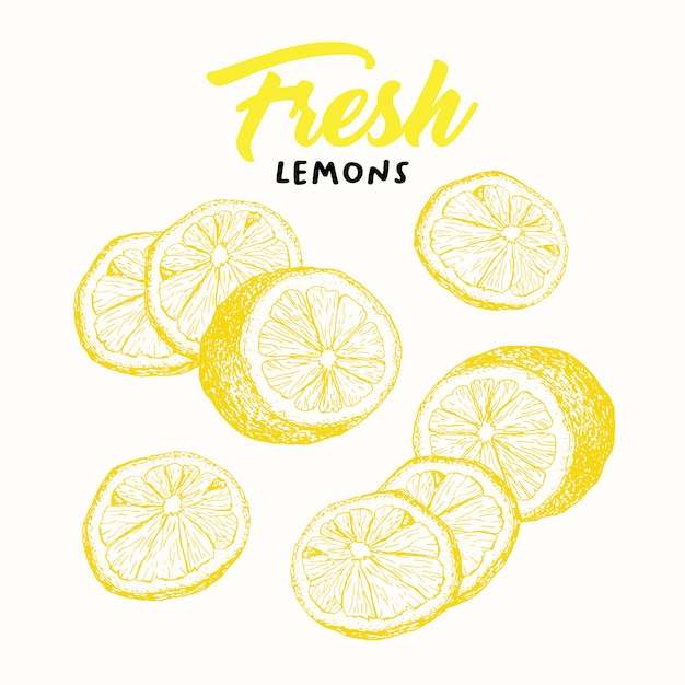 Ilustración de dibujo de limones frescos