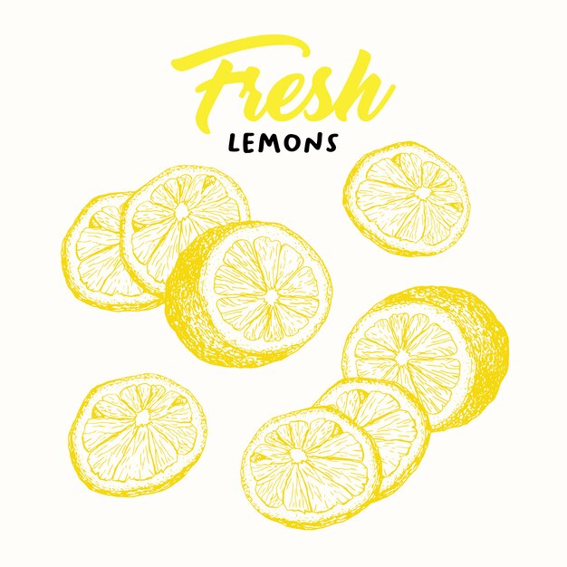 Ilustración de dibujo de limones frescos