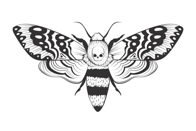 Ilustración de dibujo de polilla de la muerte dibujada a mano