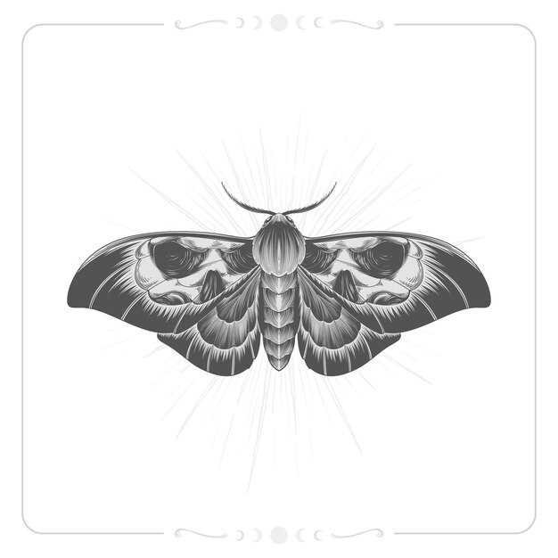 Ilustración de dibujo de polilla de la muerte dibujada a mano