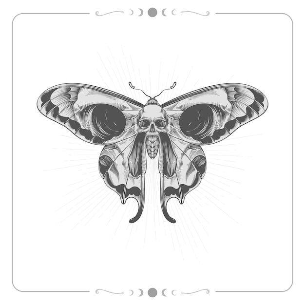 Ilustración de dibujo de polilla de la muerte dibujada a mano