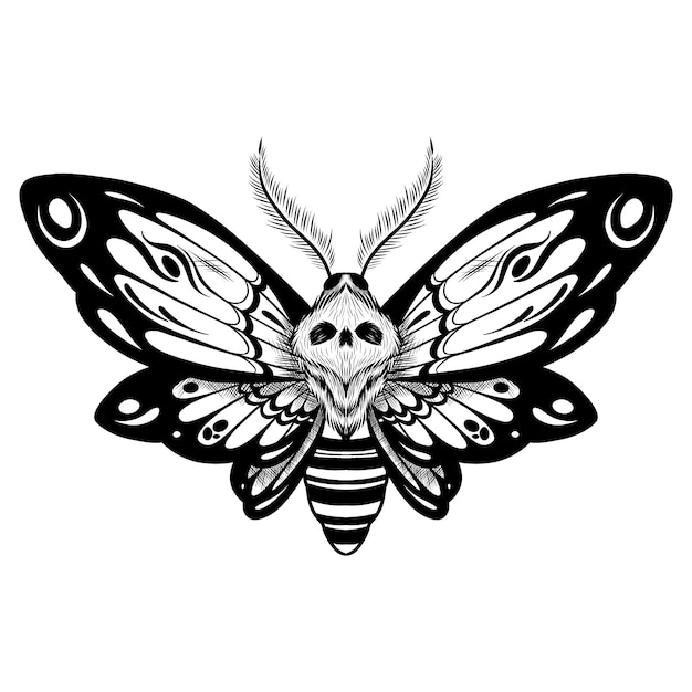 Ilustración de dibujo de polilla de la muerte dibujada a mano