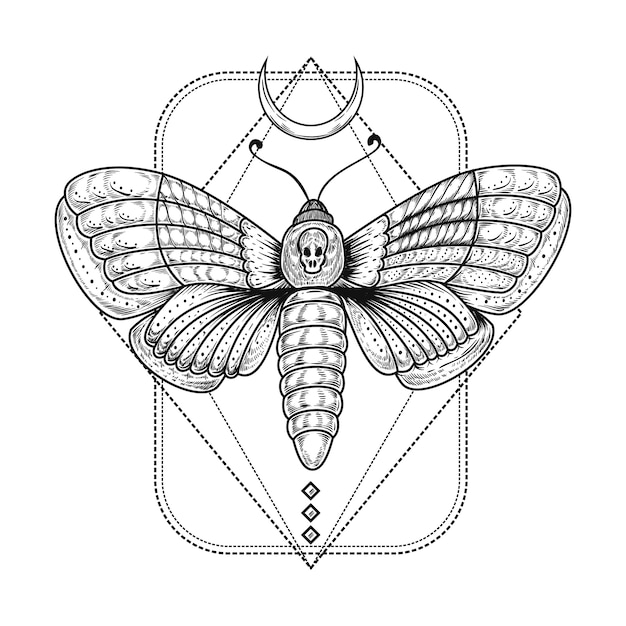Ilustración de dibujo de polilla de la muerte dibujada a mano
