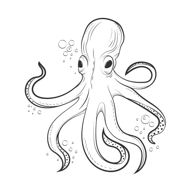 Ilustración de dibujo de pulpo dibujado a mano