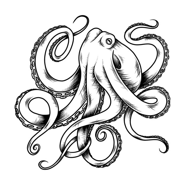 Ilustración de dibujo de pulpo dibujado a mano