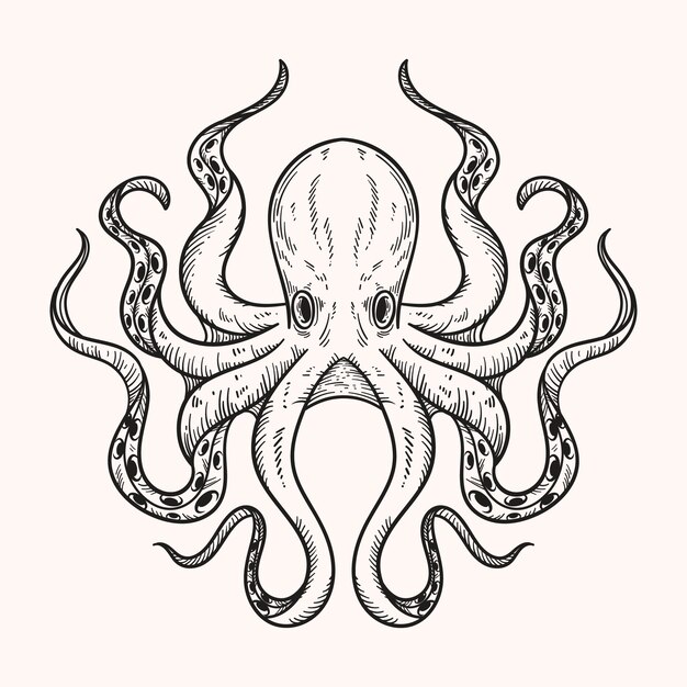 Ilustración de dibujo de pulpo dibujado a mano