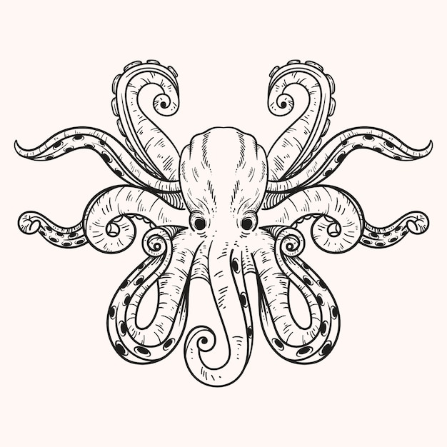 Ilustración de dibujo de pulpo dibujado a mano
