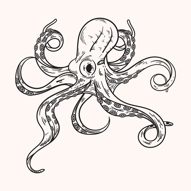 Ilustración de dibujo de pulpo dibujado a mano