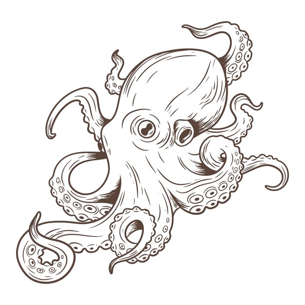 Ilustración de dibujo de pulpo dibujado a mano