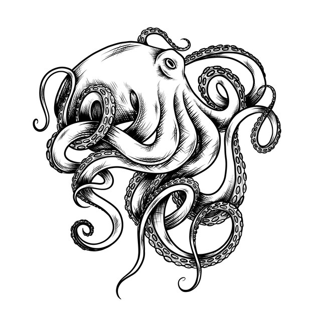 Ilustración de dibujo de pulpo dibujado a mano