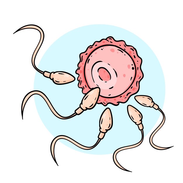 Ilustración de dibujos animados de esperma dibujada a mano