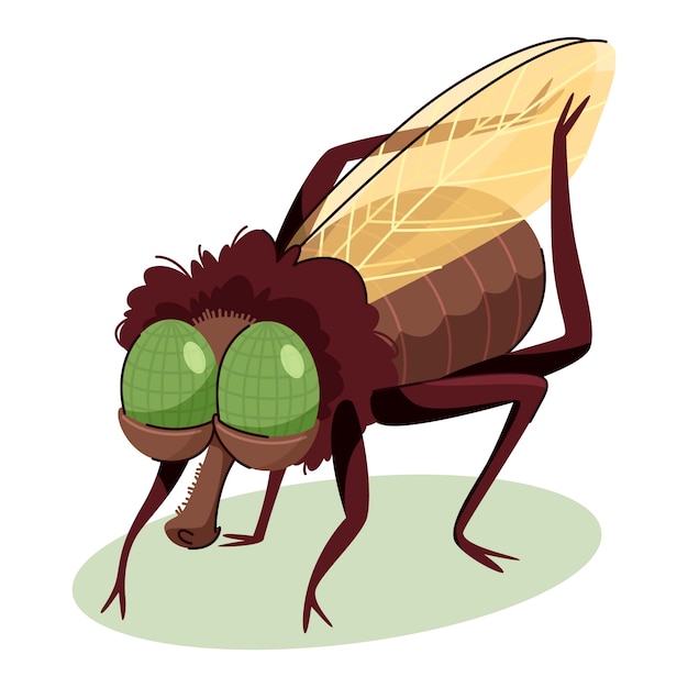 Ilustración de dibujos animados de mosca dibujada a mano