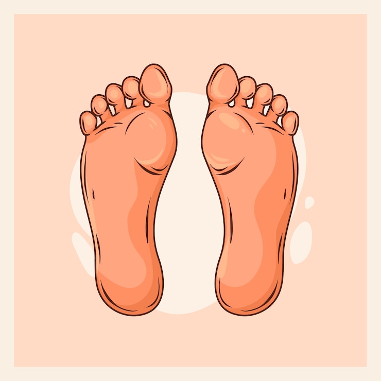Vector gratuito ilustración de dibujos animados de pies dibujados a mano