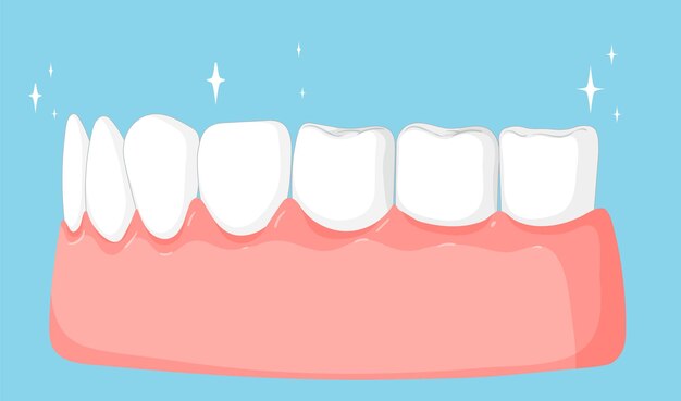 Ilustración de dientes y encías sanos