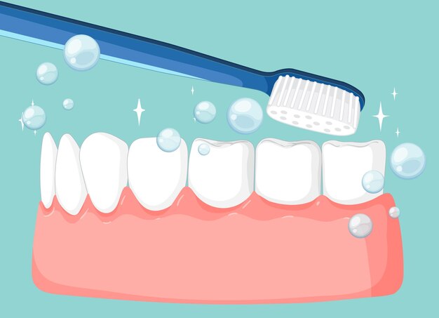 Ilustración de dientes sanos y higiene bucal