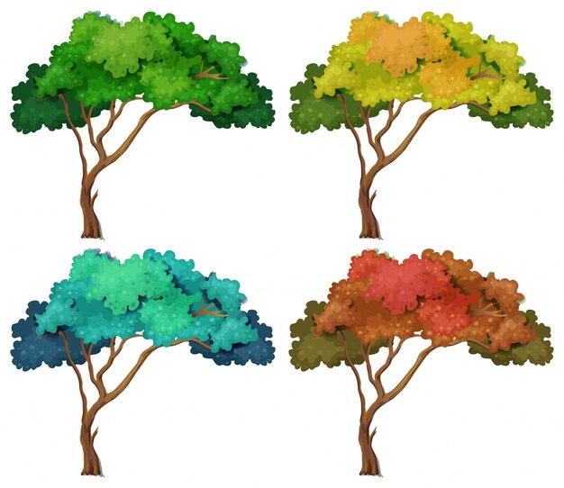 Ilustración de diferentes árboles de color