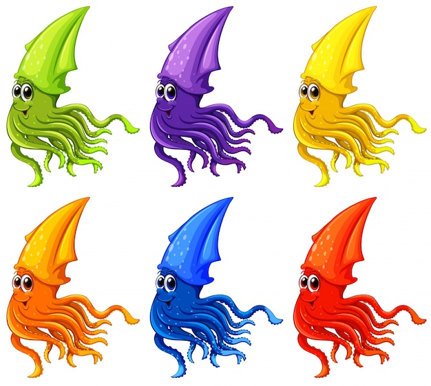 Ilustración de diferentes calamares de color