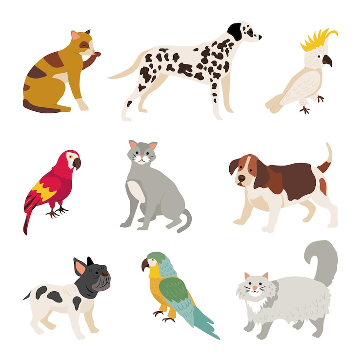 Vector gratuito ilustración de diseño plano colección de diferentes mascotas