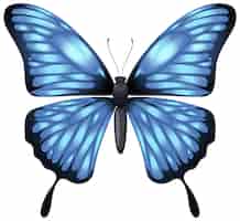 Vector gratuito ilustración elegante de la mariposa azul
