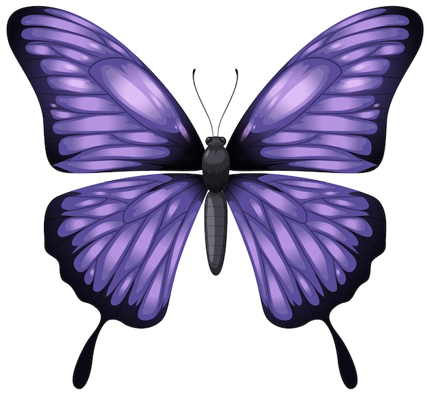 Ilustración elegante de la mariposa púrpura