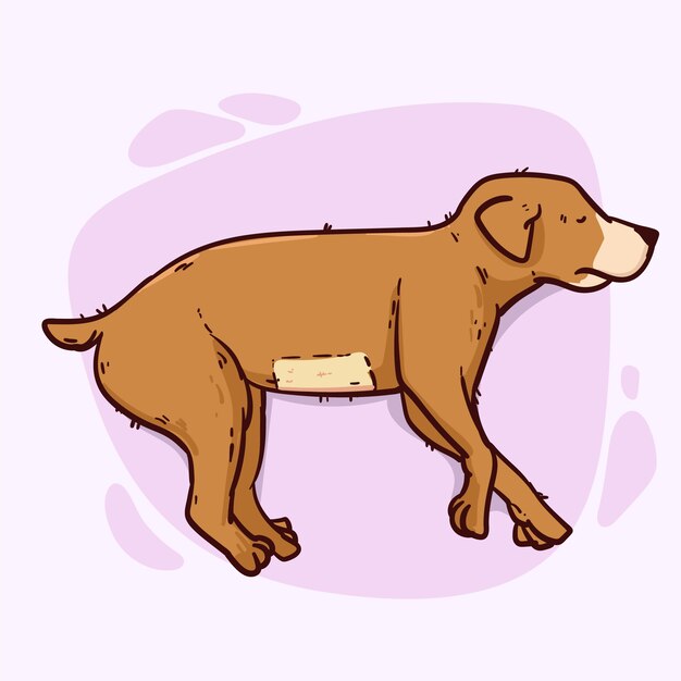 Ilustración de esterilización animal dibujada a mano