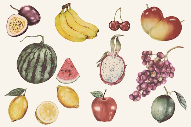 Ilustración del estilo de acuarela de frutas tropicales