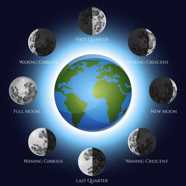 Ilustración de las fases de la luna