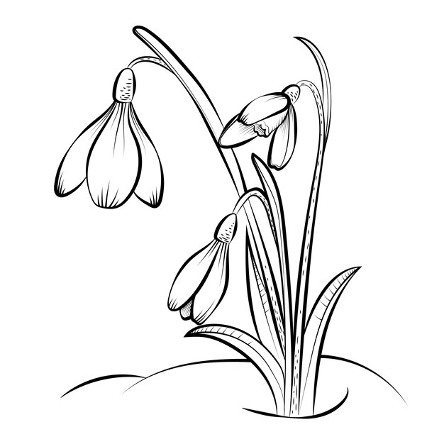 Ilustración de flor de diseño plano dibujado a mano
