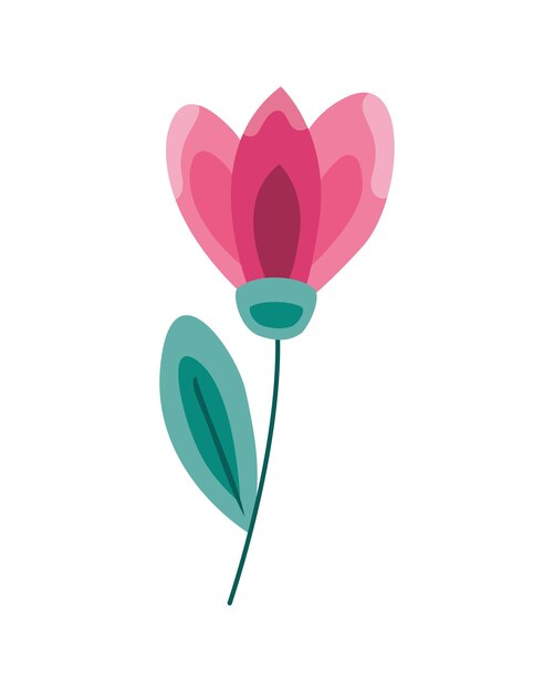 ilustración de flor rosa