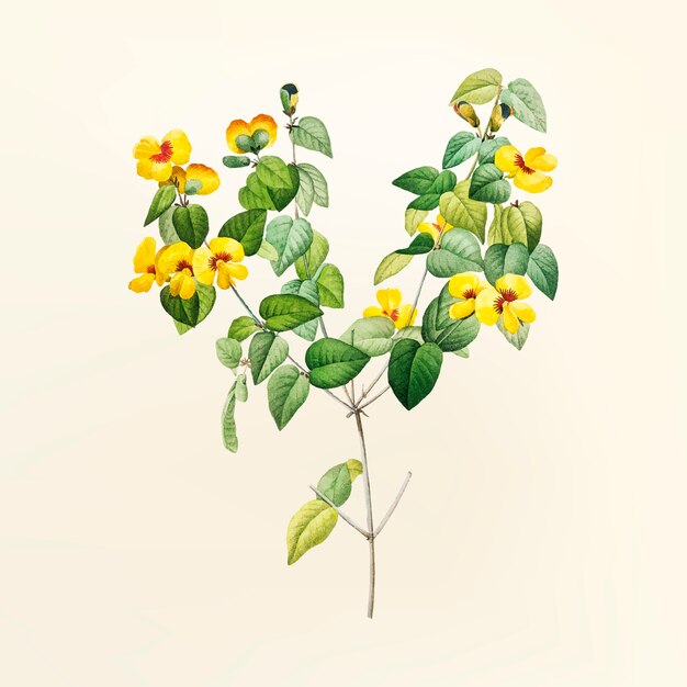 Ilustración de la flor de la vendimia