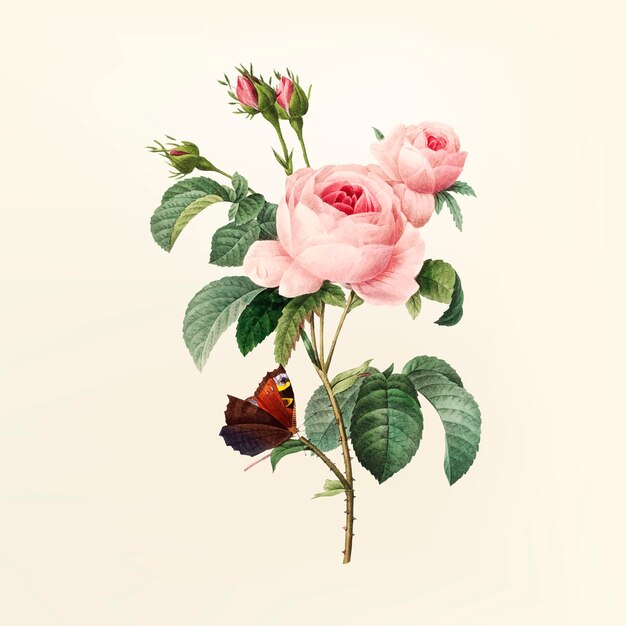 Ilustración de la flor de la vendimia