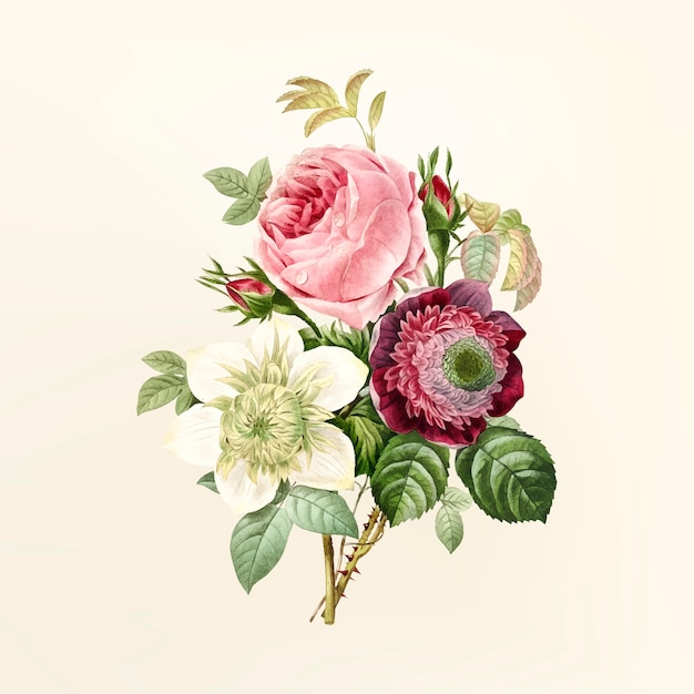 Ilustración de la flor de la vendimia