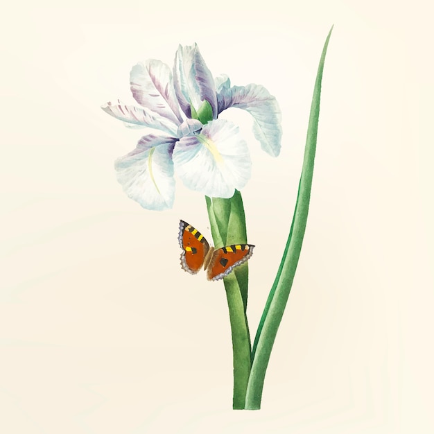 Ilustración de la flor de la vendimia