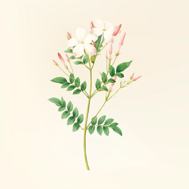 Ilustración de flor vintage