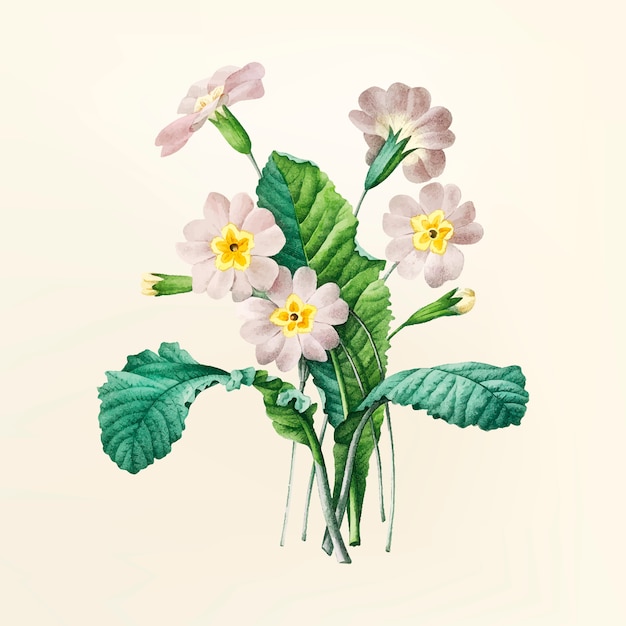 Ilustración de flor vintage