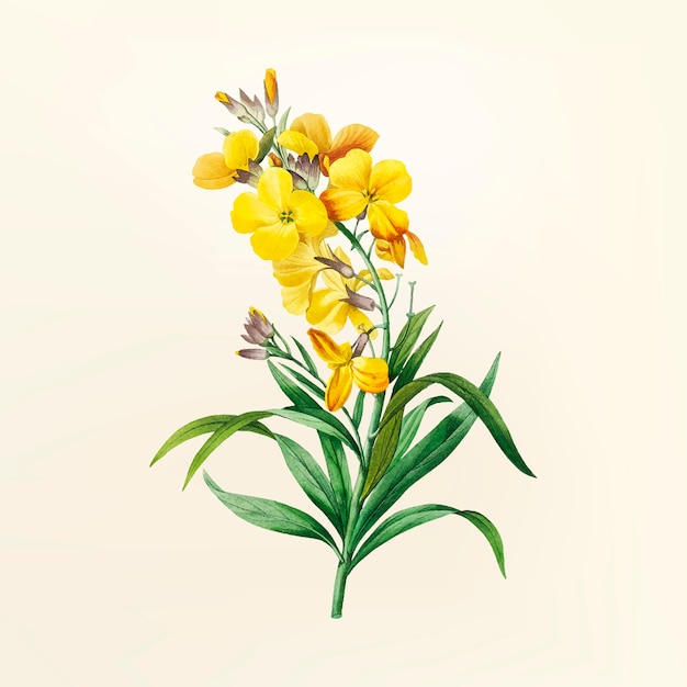 Vector gratuito ilustración de flor vintage