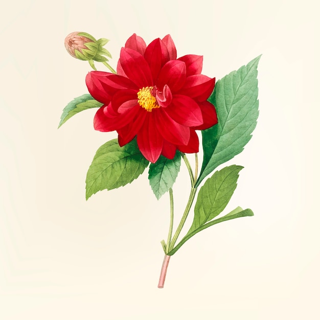 Ilustración de flor vintage