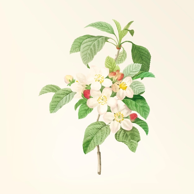 Ilustración de flor vintage