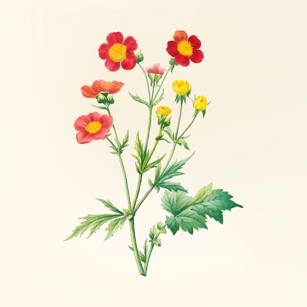 Ilustración de flor vintage