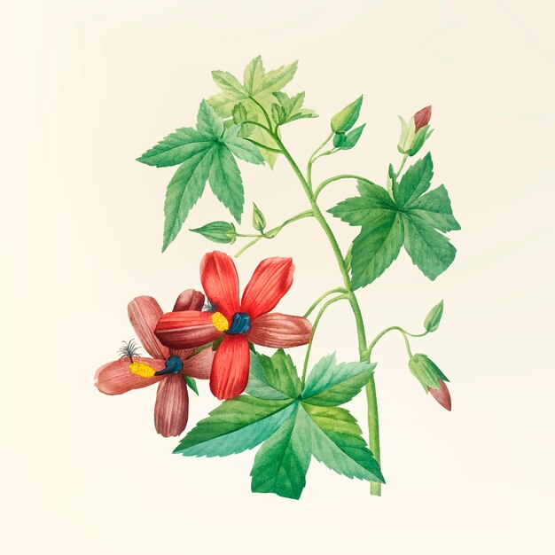 Ilustración de flor vintage