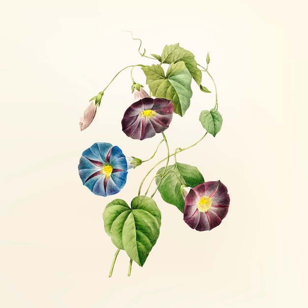 Ilustración de flor vintage